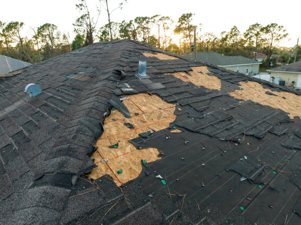 Best Roofing for New Construction  in Rochester, NY