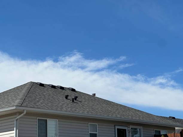 Best Skylight Installation and Repair  in Rochester, NY